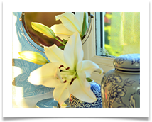 Lily Reflected - Jane Turner
